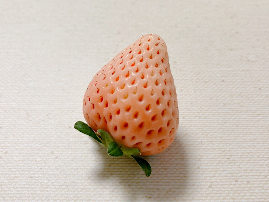 いちご鼻
