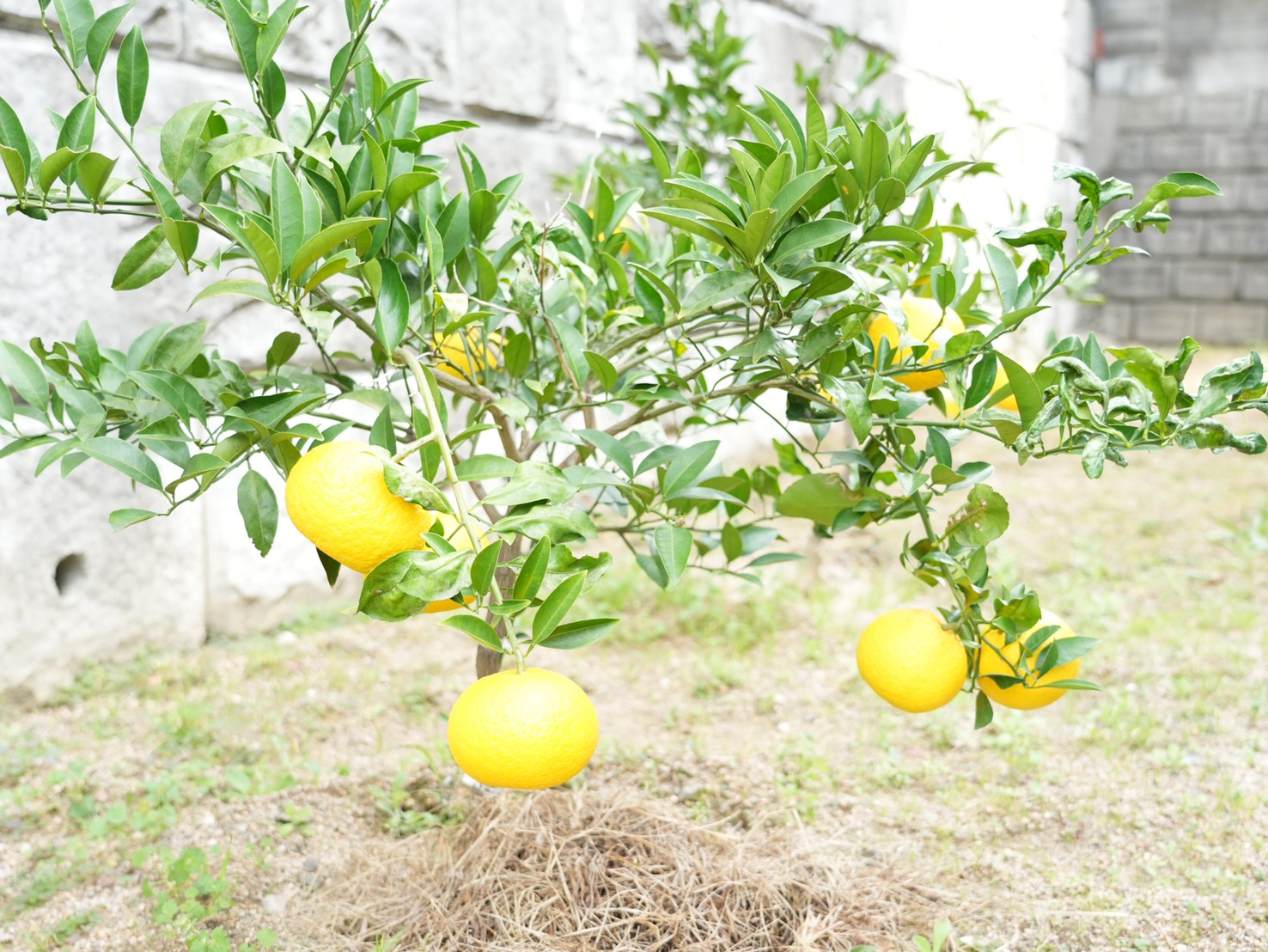 LINE_ALBUM_240512